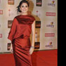Celebs at 18th Annual Colors Screen Awards